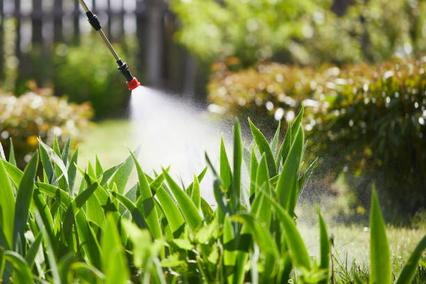 24/7 Emergency Mosquito Control experts in Choctaw Lake, OH