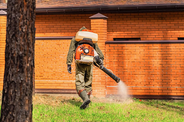 Trusted Bed Bug Control service in Choctaw Lake, OH - Nex Pest Control